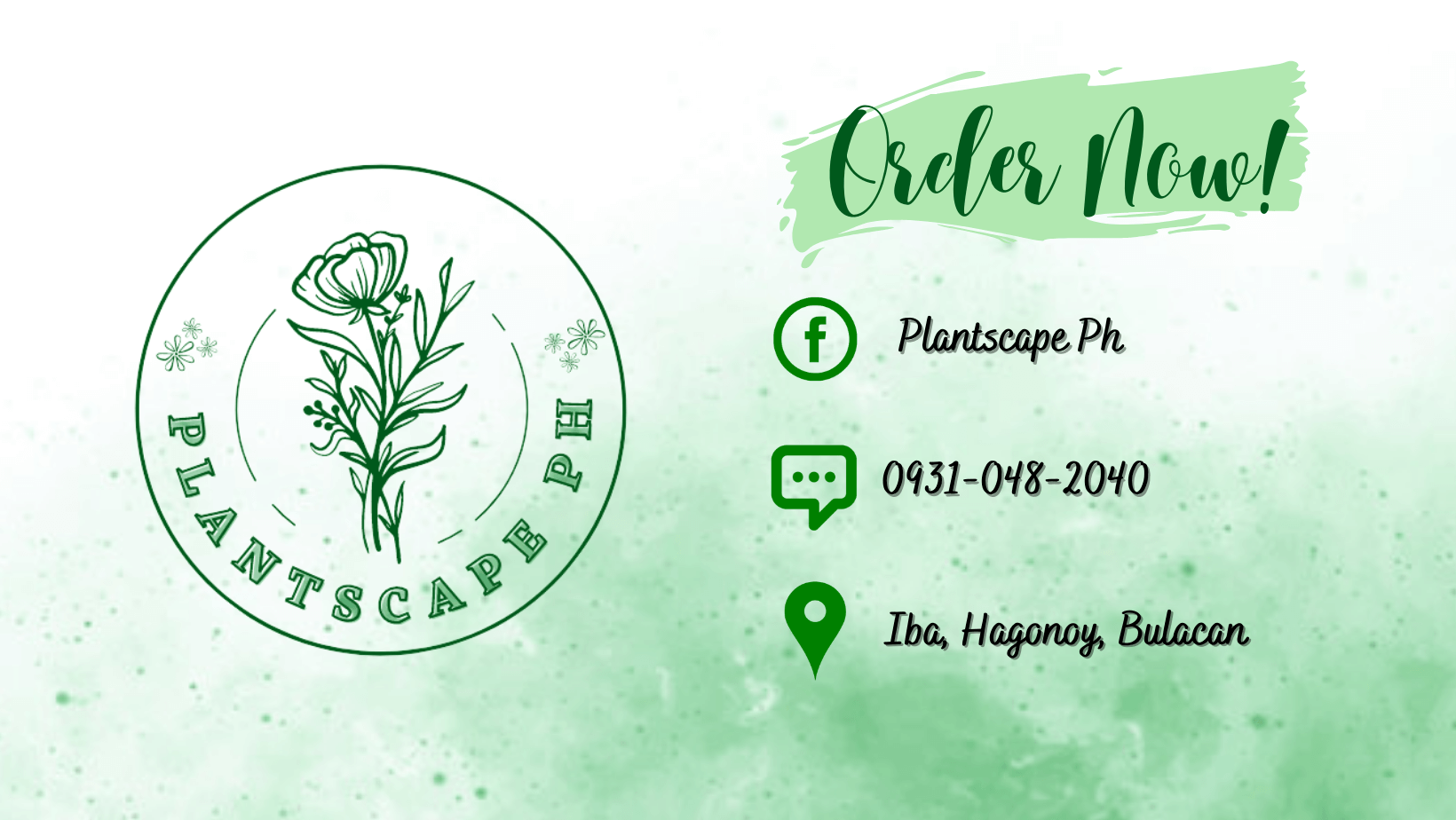 ASSORTED PLANTS FOR SALE – FRESH FROM BULACAN!
