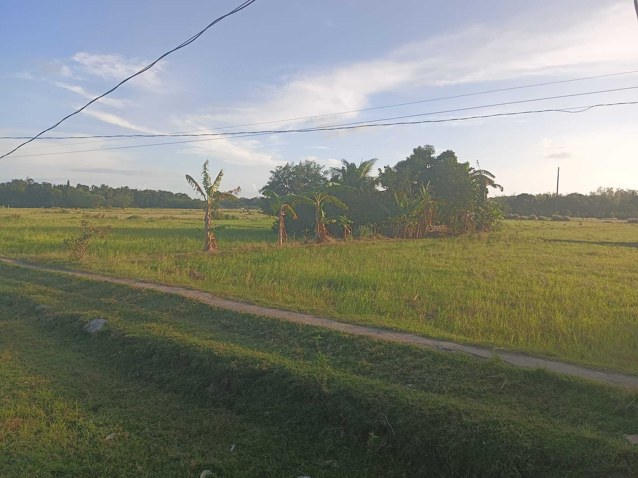 oton site few lots left