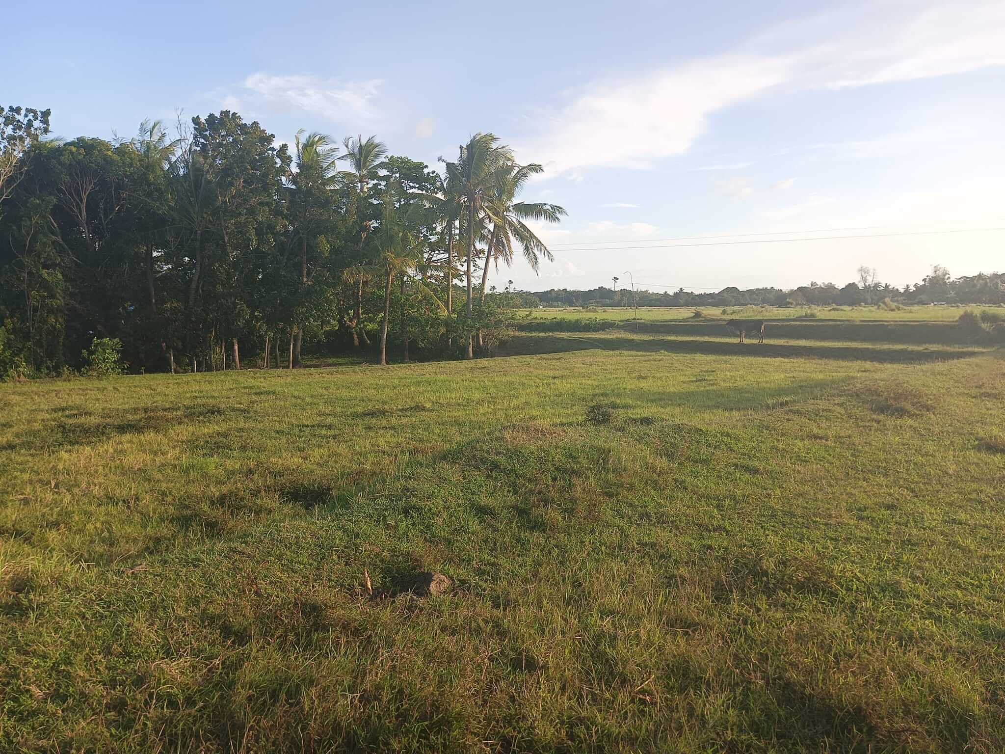 oton site few lots left