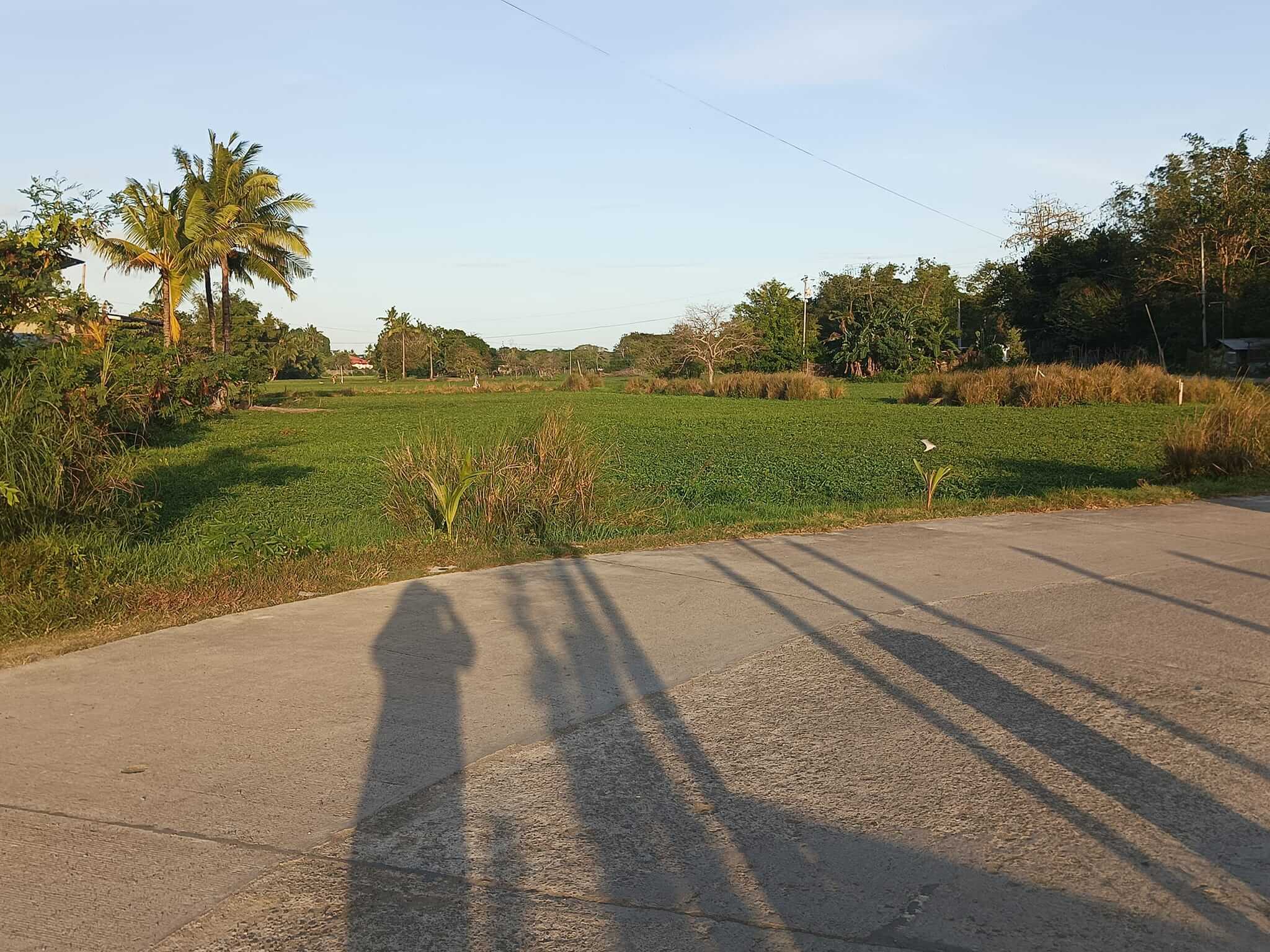 Lot for sale oton iloilo