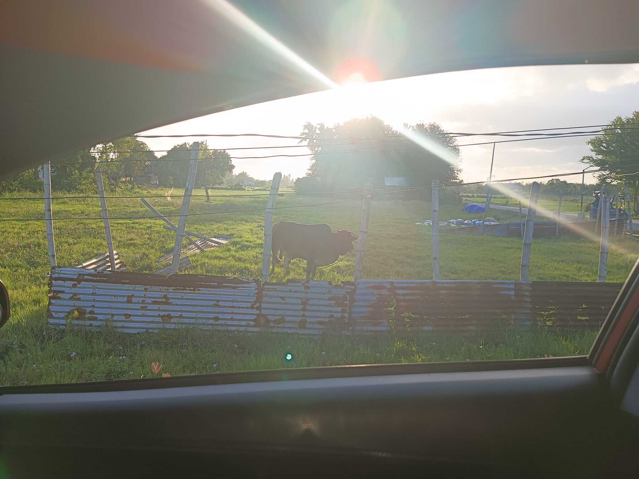 Lot for sale oton iloilo