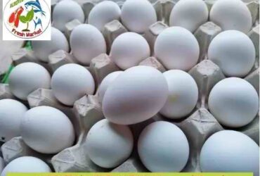 FRESH EGG MEDIUM SIZE 1 DOZEN