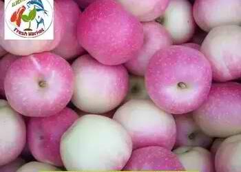 FRESH APPLE pc