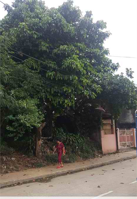 Nangka Vacant Residential lot for sale in Marikina