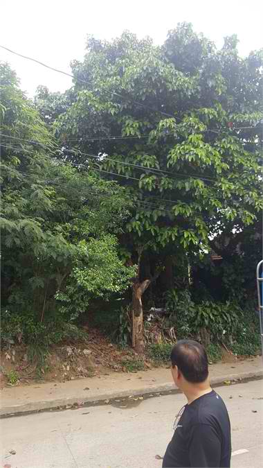 Nangka Vacant Residential lot for sale in Marikina