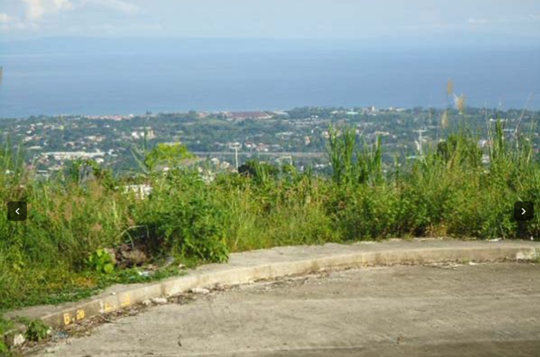 LOT FOR SALE IN VISTA GRANDE TALISAY