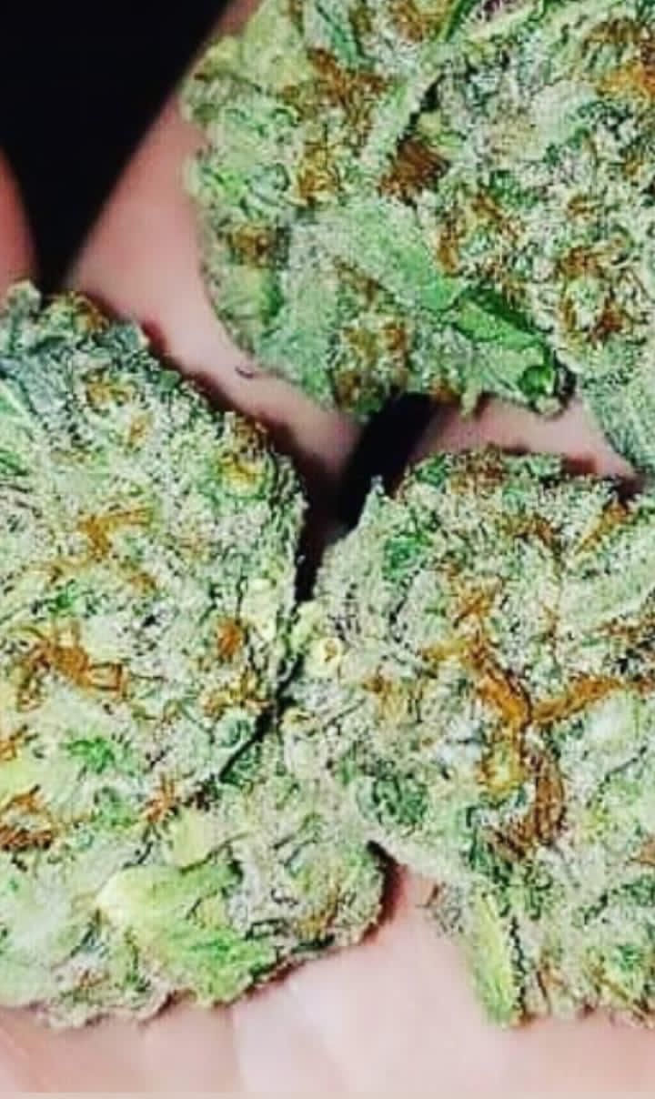 Super enjoyable great and appetizing