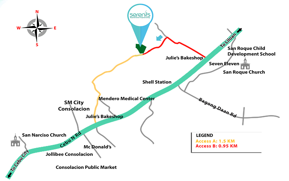 HOUSE AND LOT FOR SALE IN SERENIS CONSOLACION