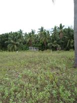 1,700 SQ.M  FOR SALE! NEGOTIABLE
