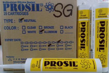 Prosil Silicone Sealant -300mL