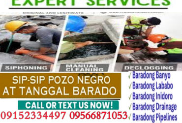 MALABANAN SIPHONING POZO NEGRO SERVICES  09152334497