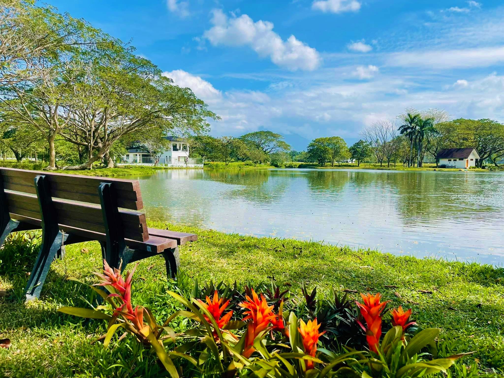 Farm Lot for sale in Hacienda Escudero Tiaong Quezon