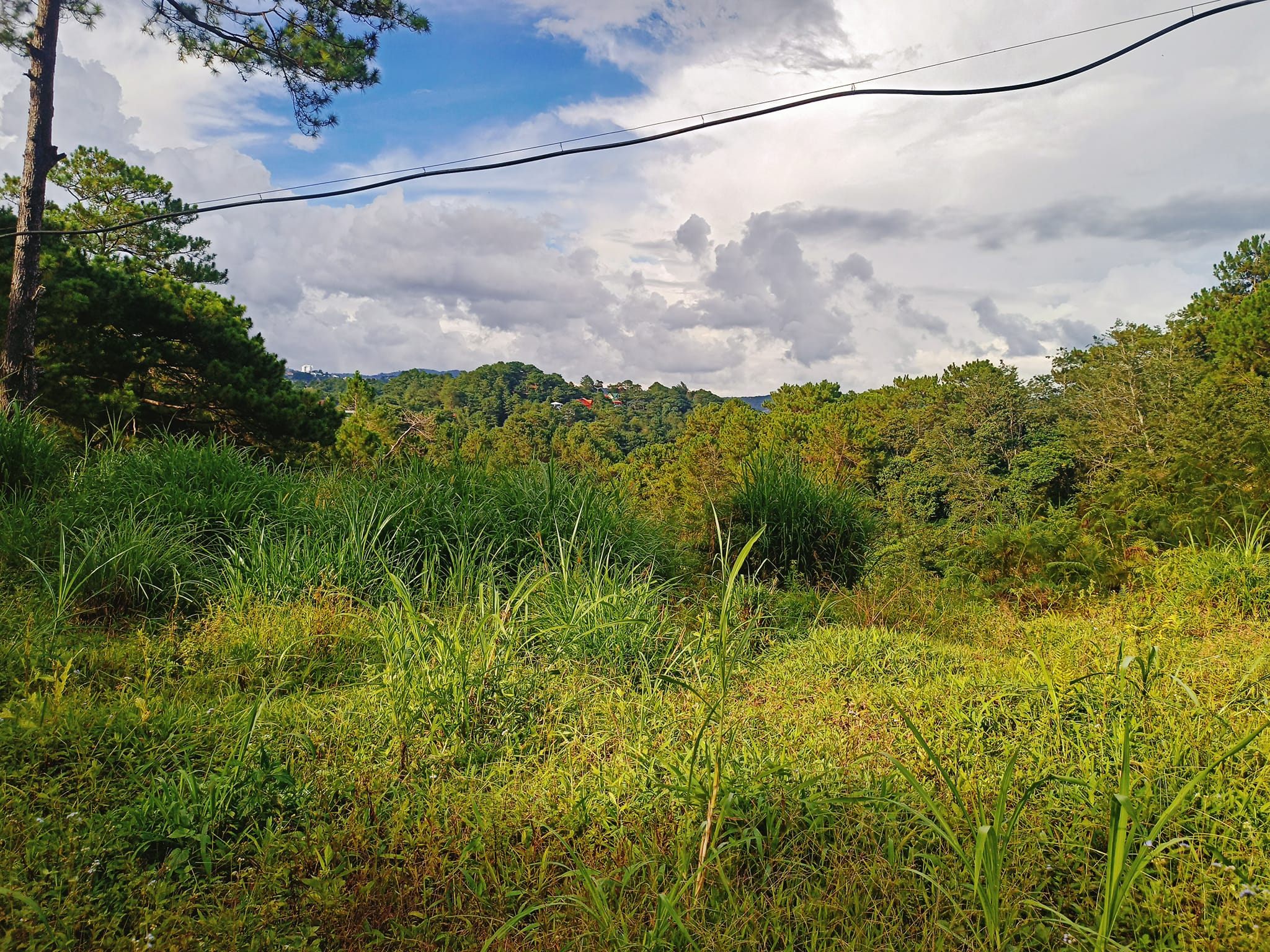 Lot For Sale