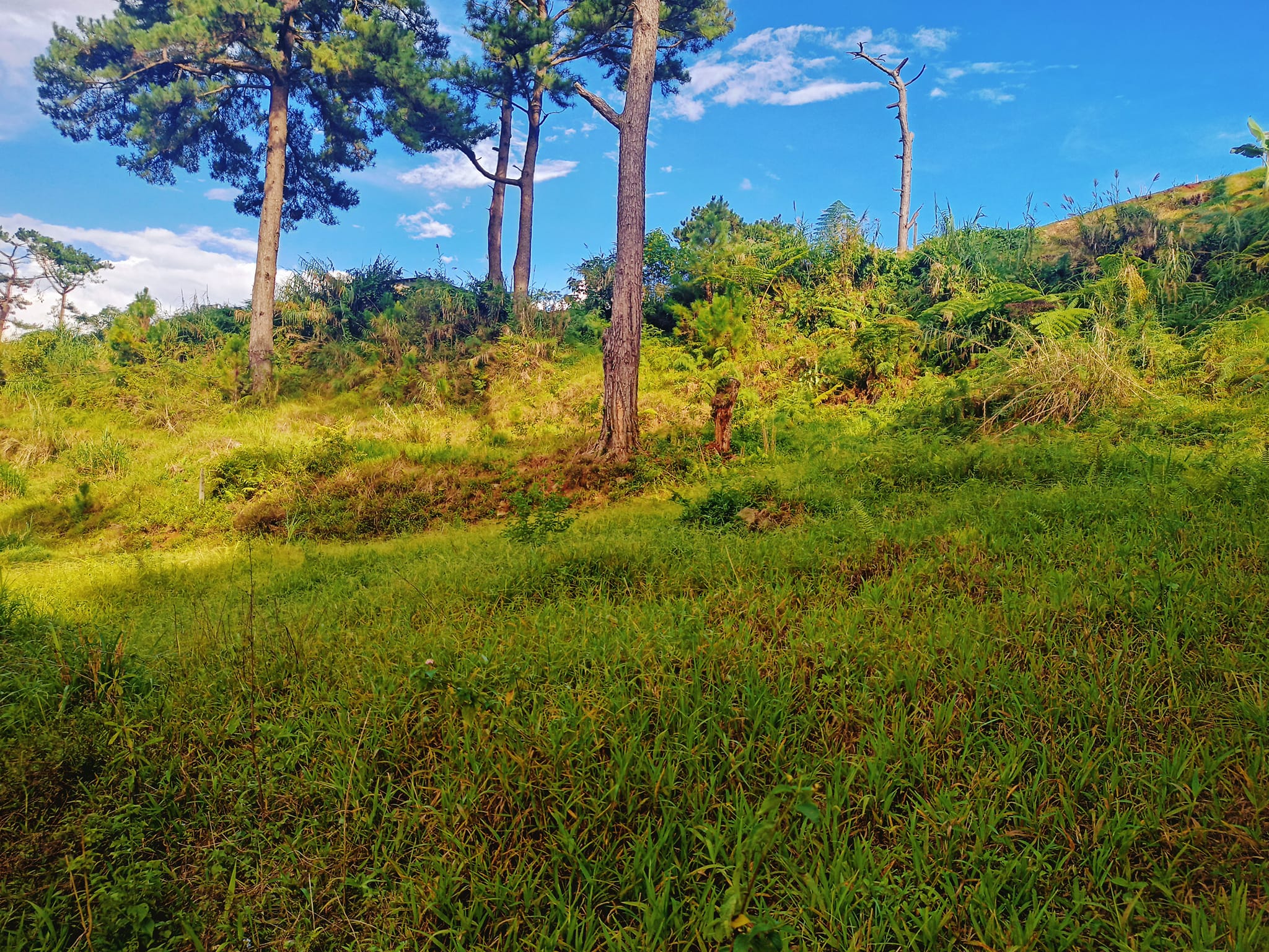 Lot For Sale