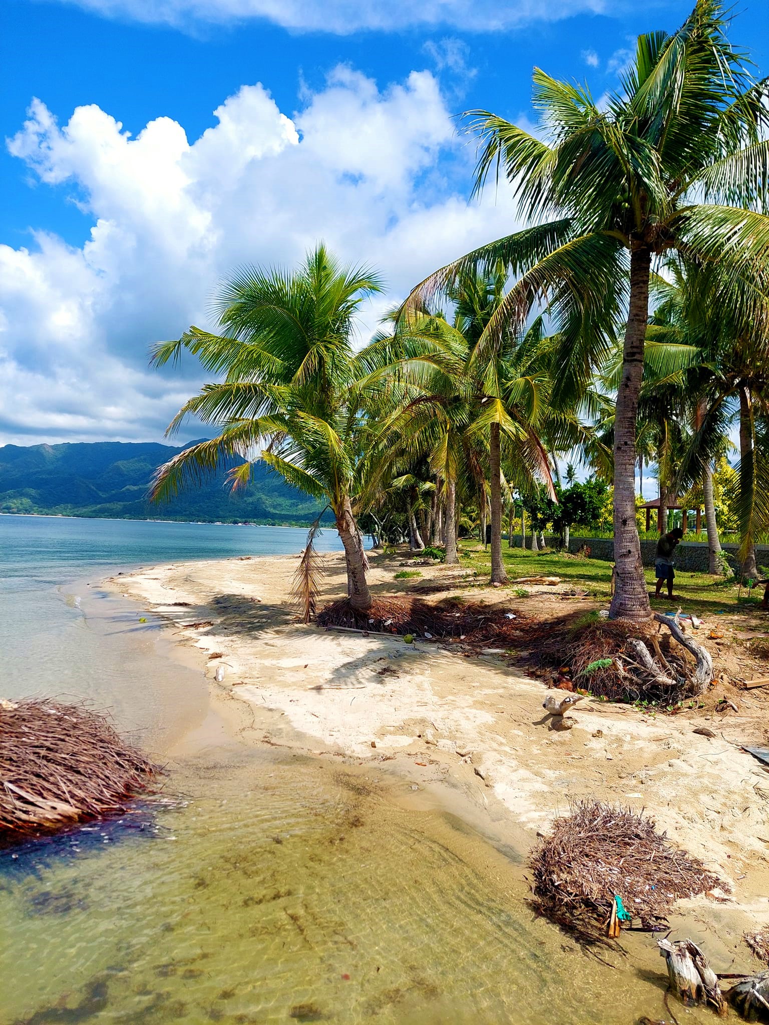 Beach Property Lot for sale in PLAYA LAIYA San Juan Batangas