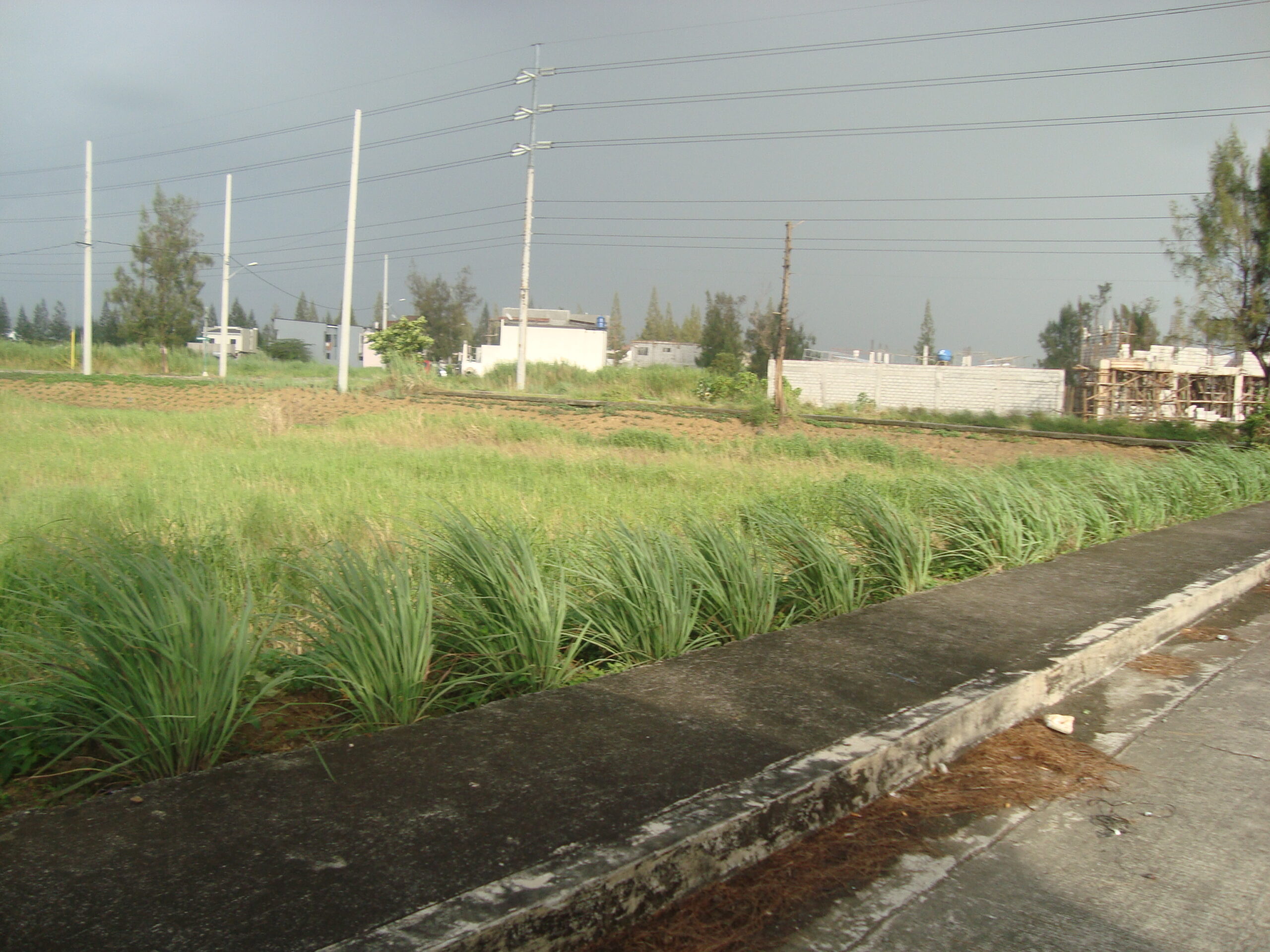 158sqm corner  lot for sale in greenwoods executive village pasig city