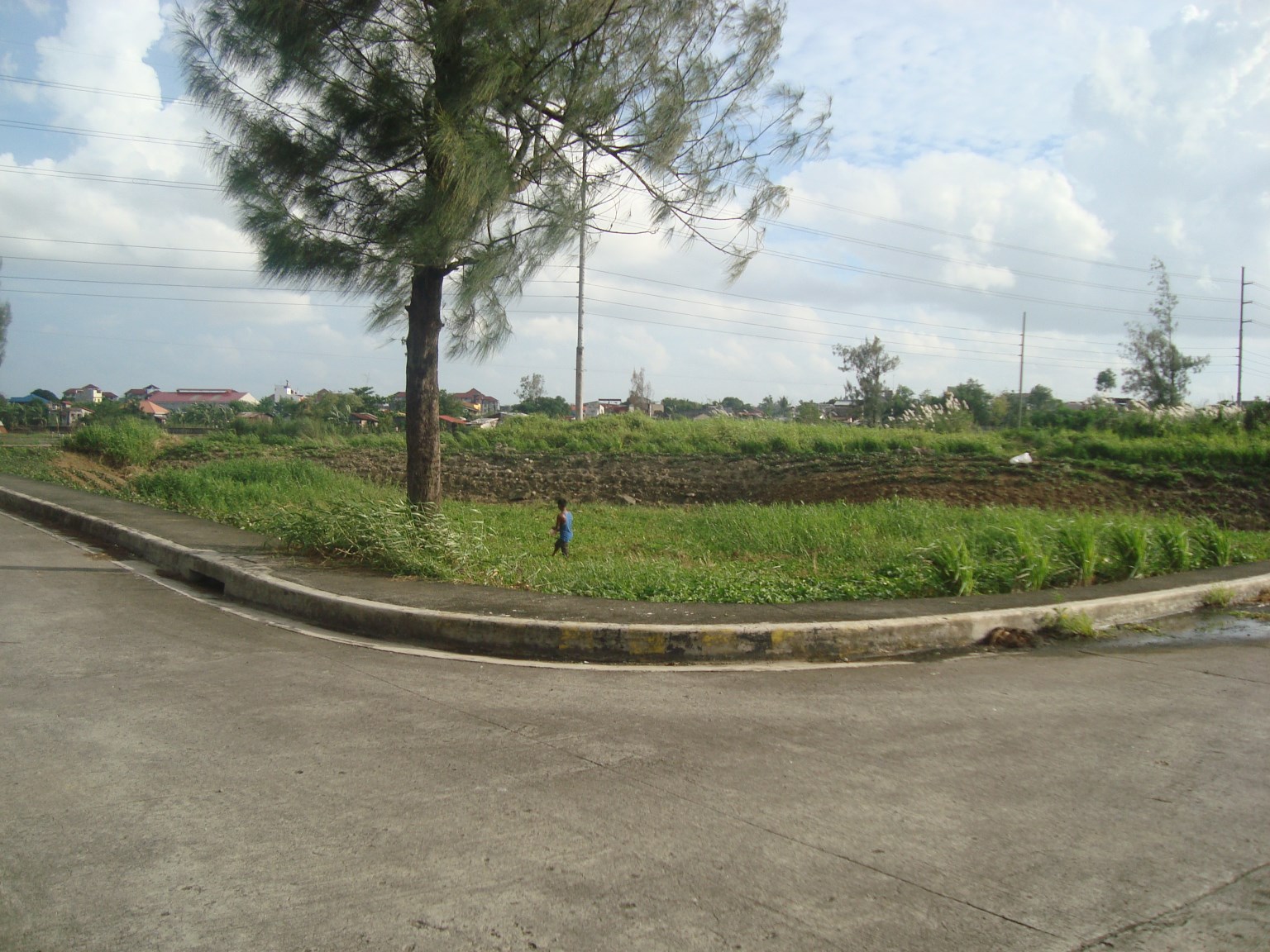 158sqm corner  lot for sale in greenwoods executive village pasig city