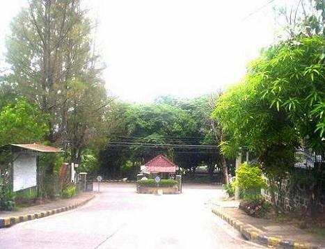 300sqm lot for sale in pines city executive manuel quezon antipolo rizal