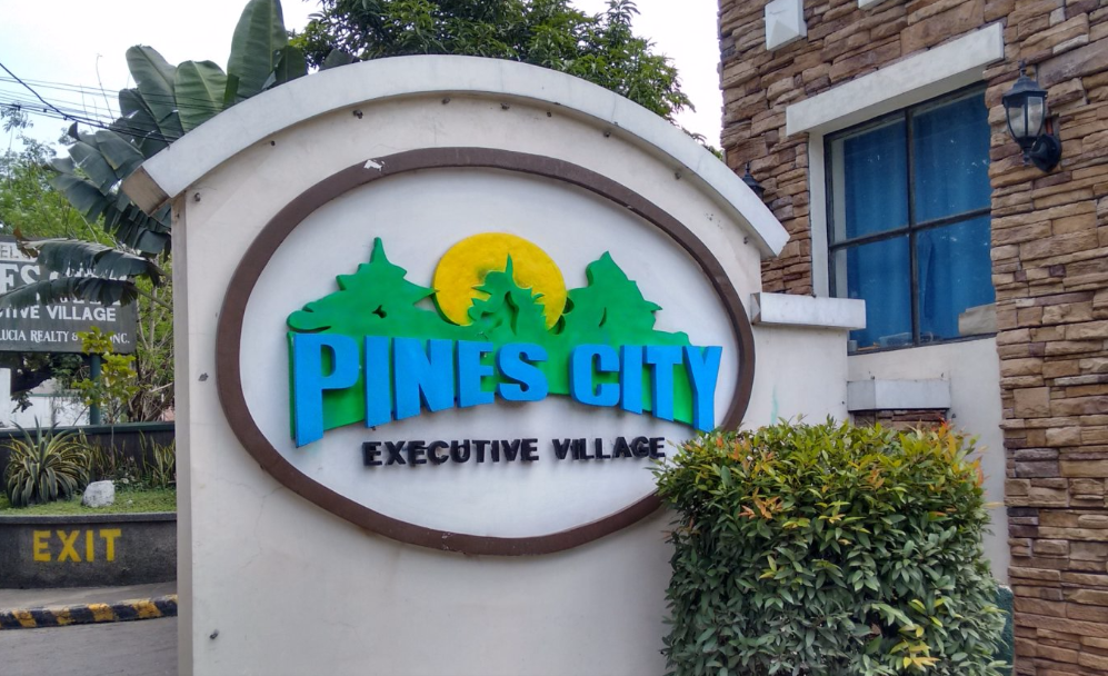 300sqm lot for sale in pines city executive manuel quezon antipolo rizal