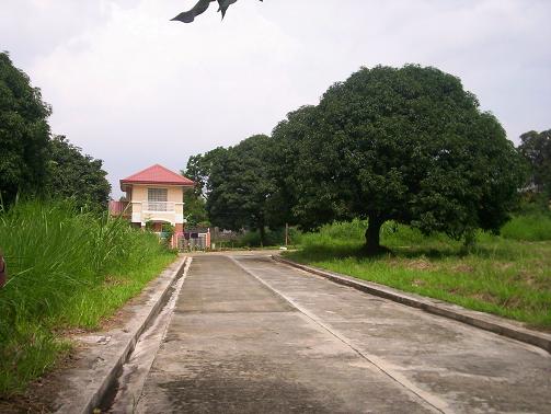 300sqm lot for sale in pines city executive manuel quezon antipolo rizal