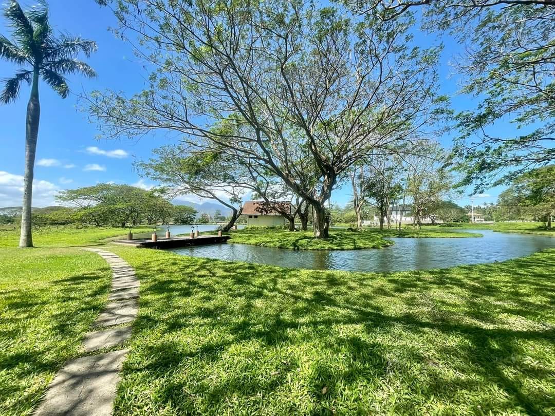 Farm Lot for sale in Hacienda Escudero Tiaong Quezon