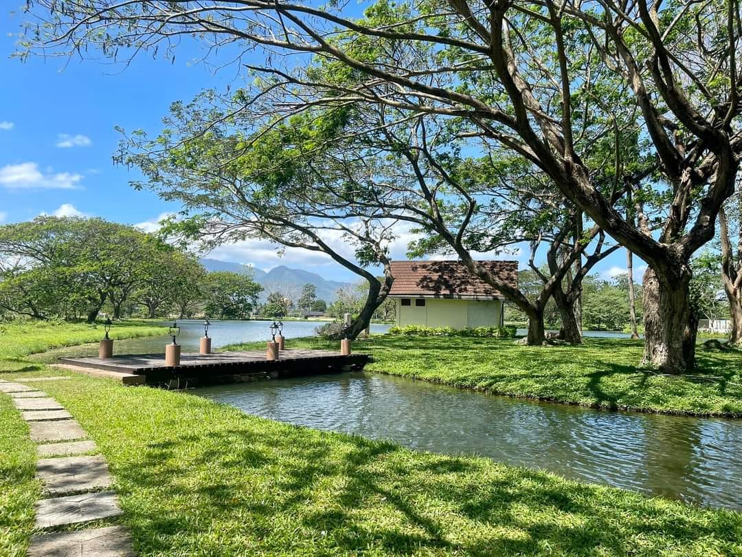 Farm Lot for sale in Hacienda Escudero Tiaong Quezon