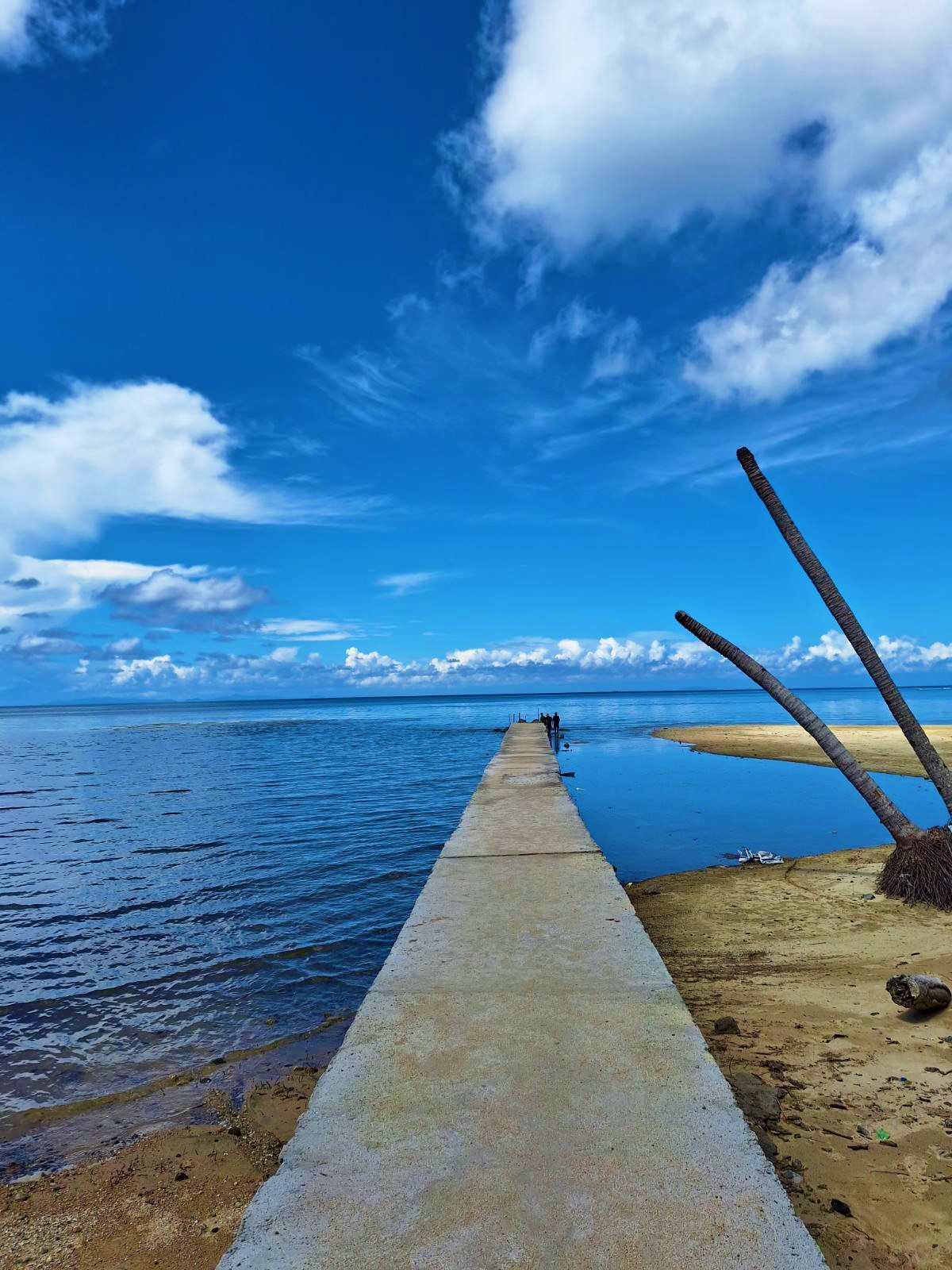 Beach Property Lot for sale in PLAYA LAIYA San Juan Batangas
