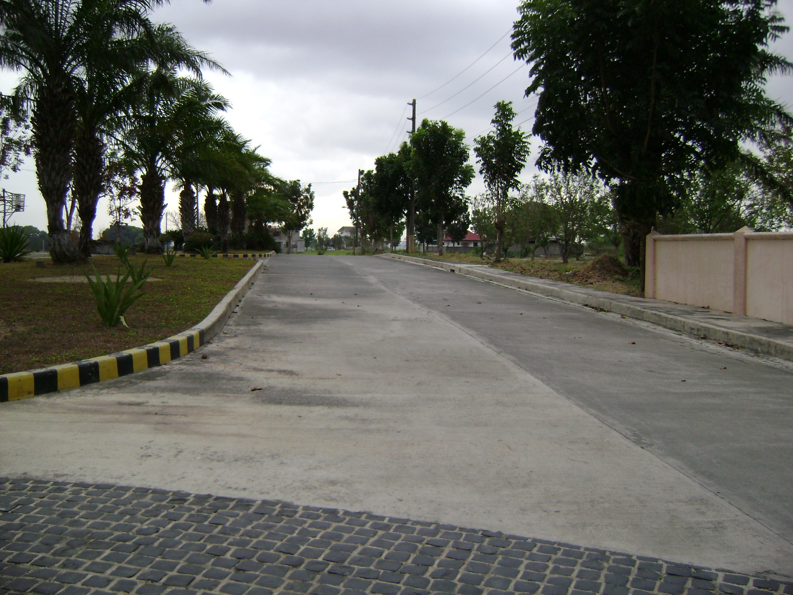 120sqm lot for sale in woodside garden village urdaneta pangasinan