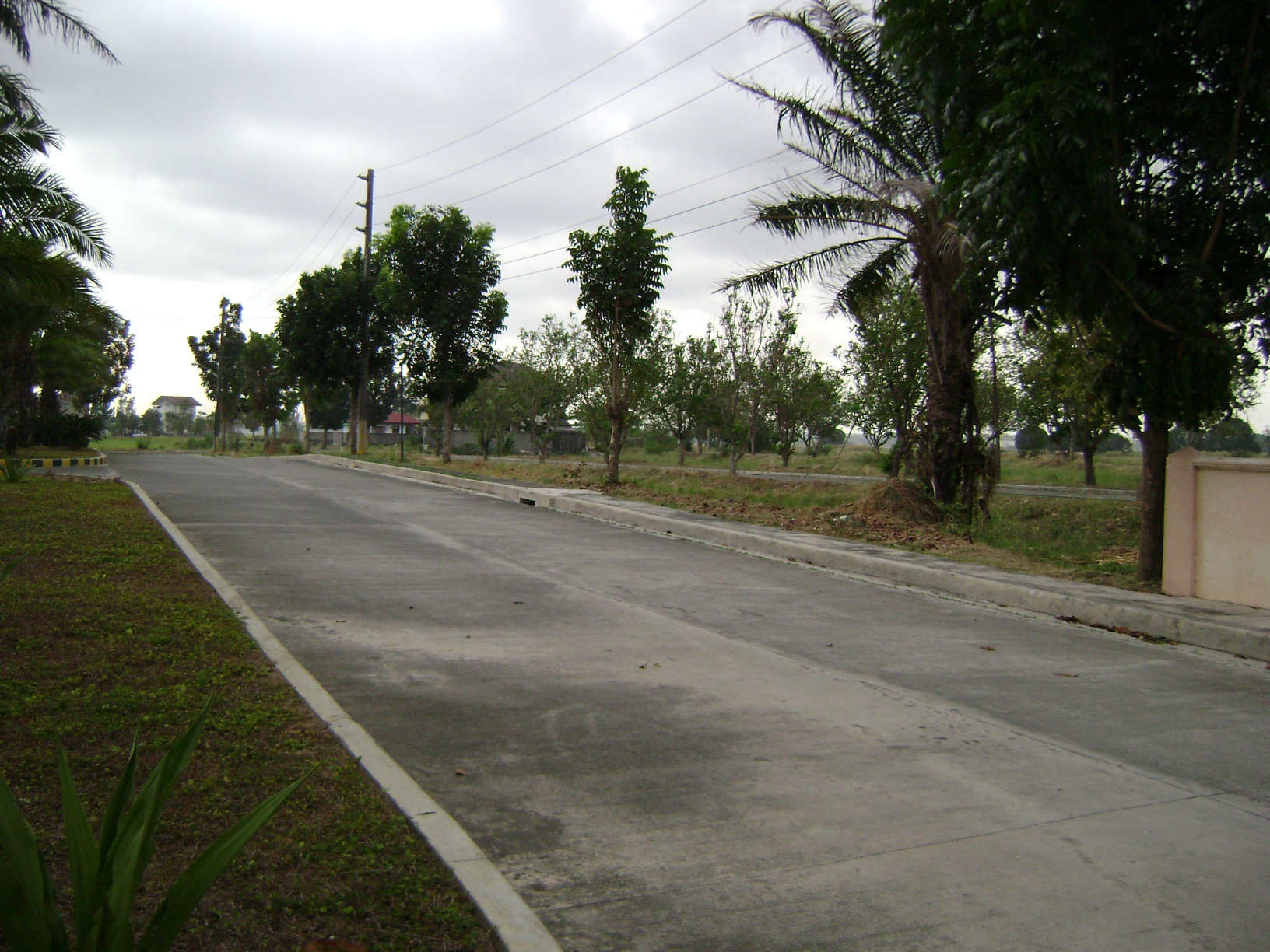 120sqm lot for sale in woodside garden village urdaneta pangasinan