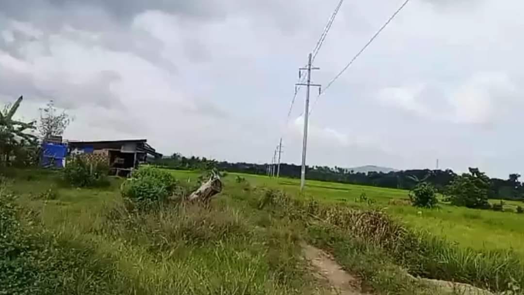 14.9 HECTARES BASAKAN LOT FOR SALE  in Dagohoy Bohol near proper