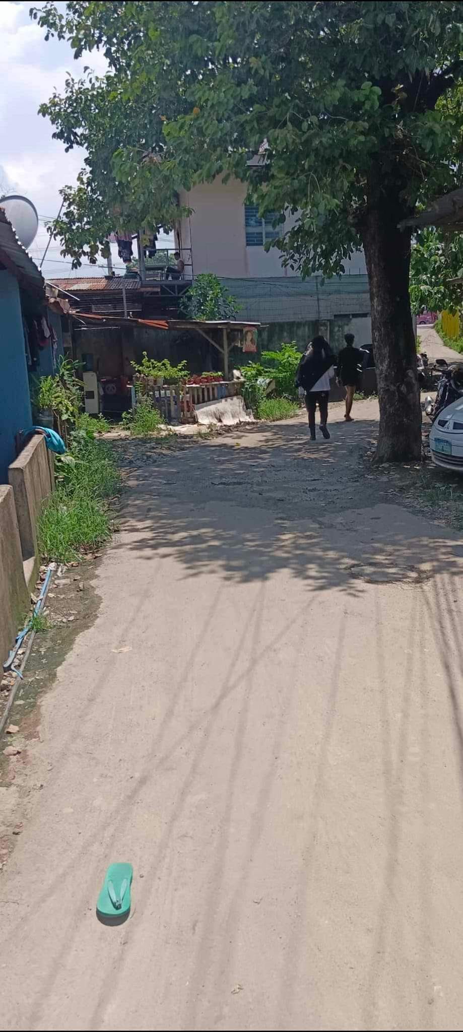 330 SQM RESIDENTIAL LOT FOR SALE  in Mandaue