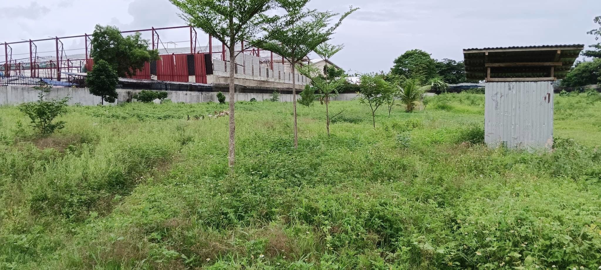 Titled lot for sale in Lapu lapu ideal for residential or parking area