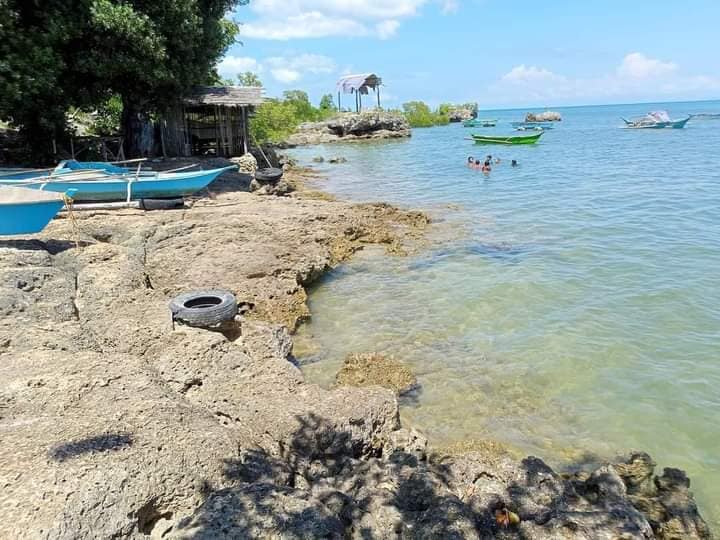 347 SQM BEACHLOT FOR SALE IN MEDELLIN,CEBU