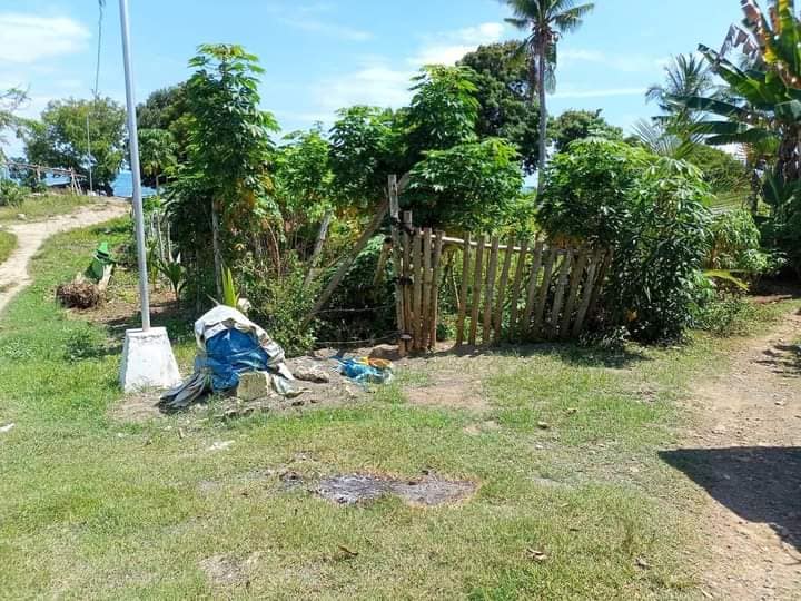 347 SQM BEACHLOT FOR SALE IN MEDELLIN,CEBU
