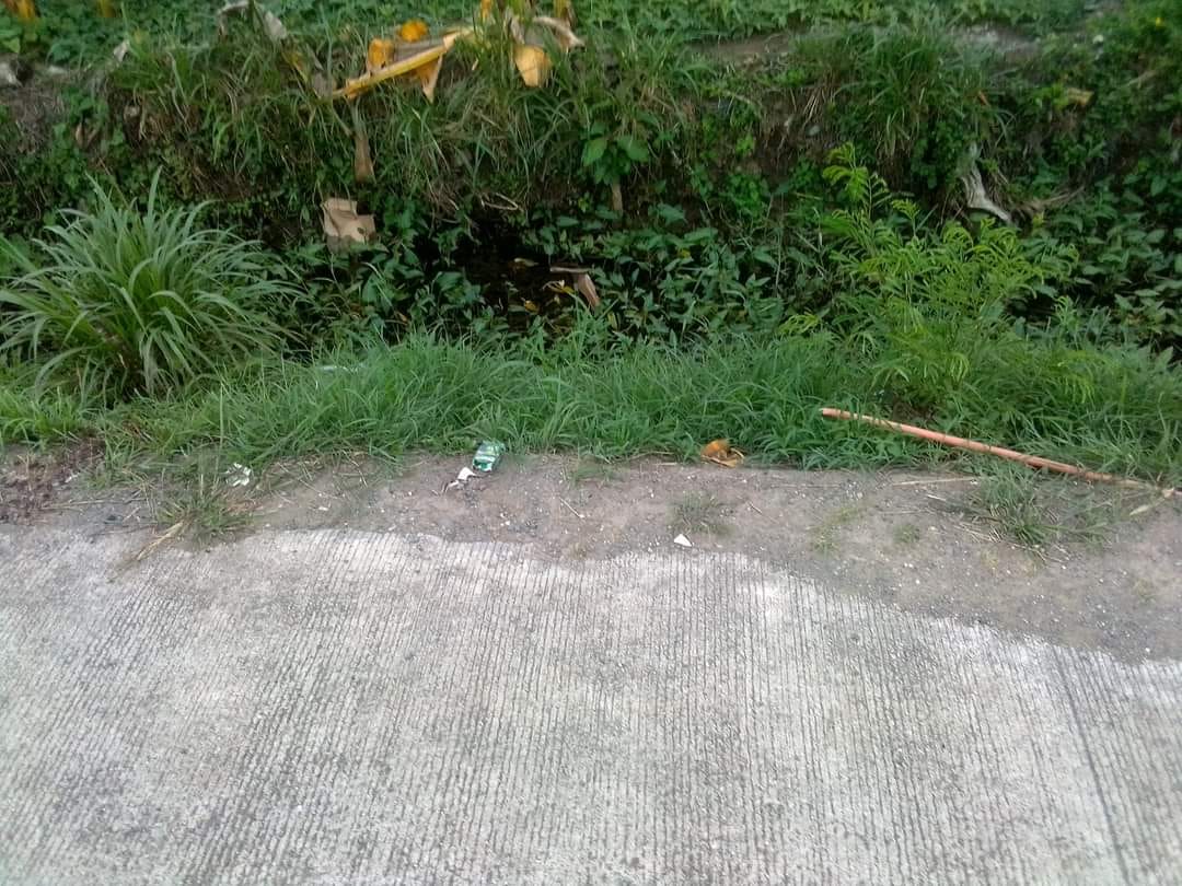 COMMERCIAL LOT FOR SALE Along national highway BentaMan