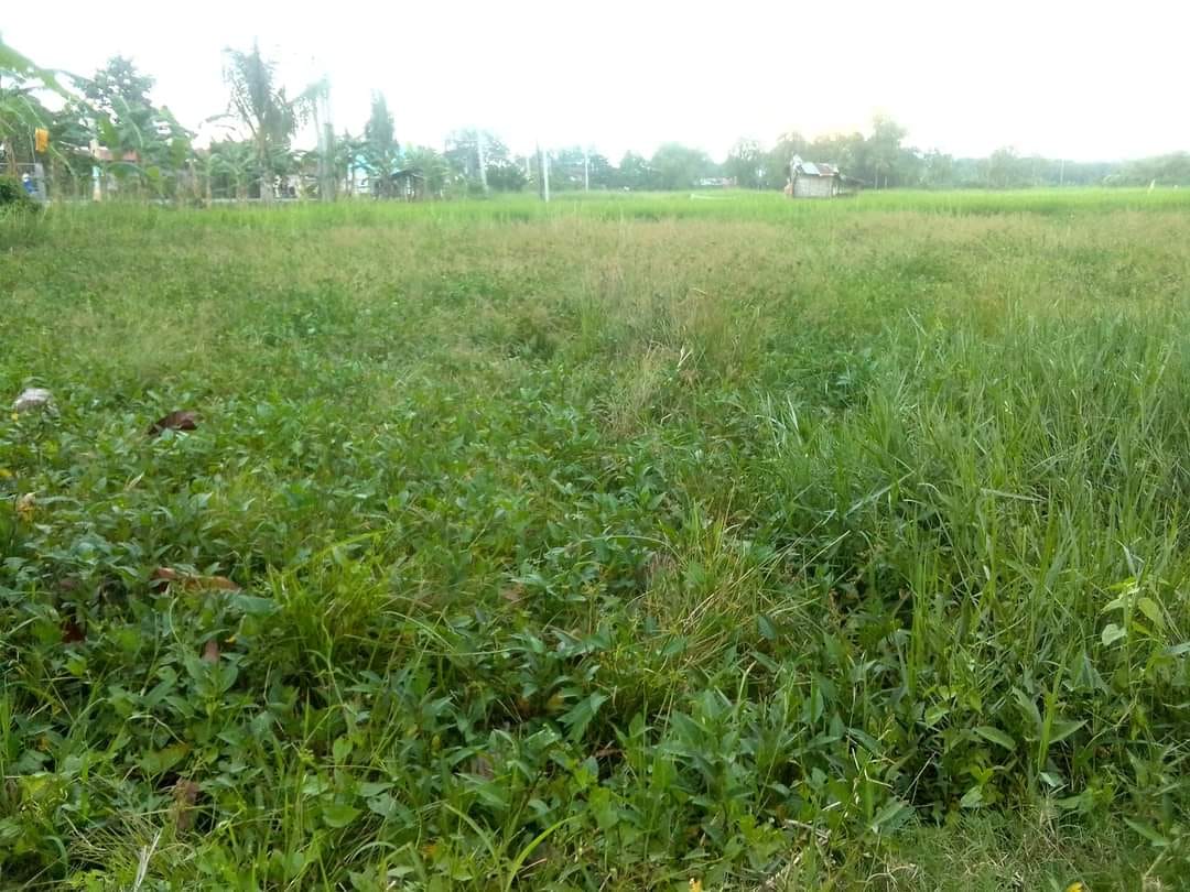 COMMERCIAL LOT FOR SALE Along national highway
