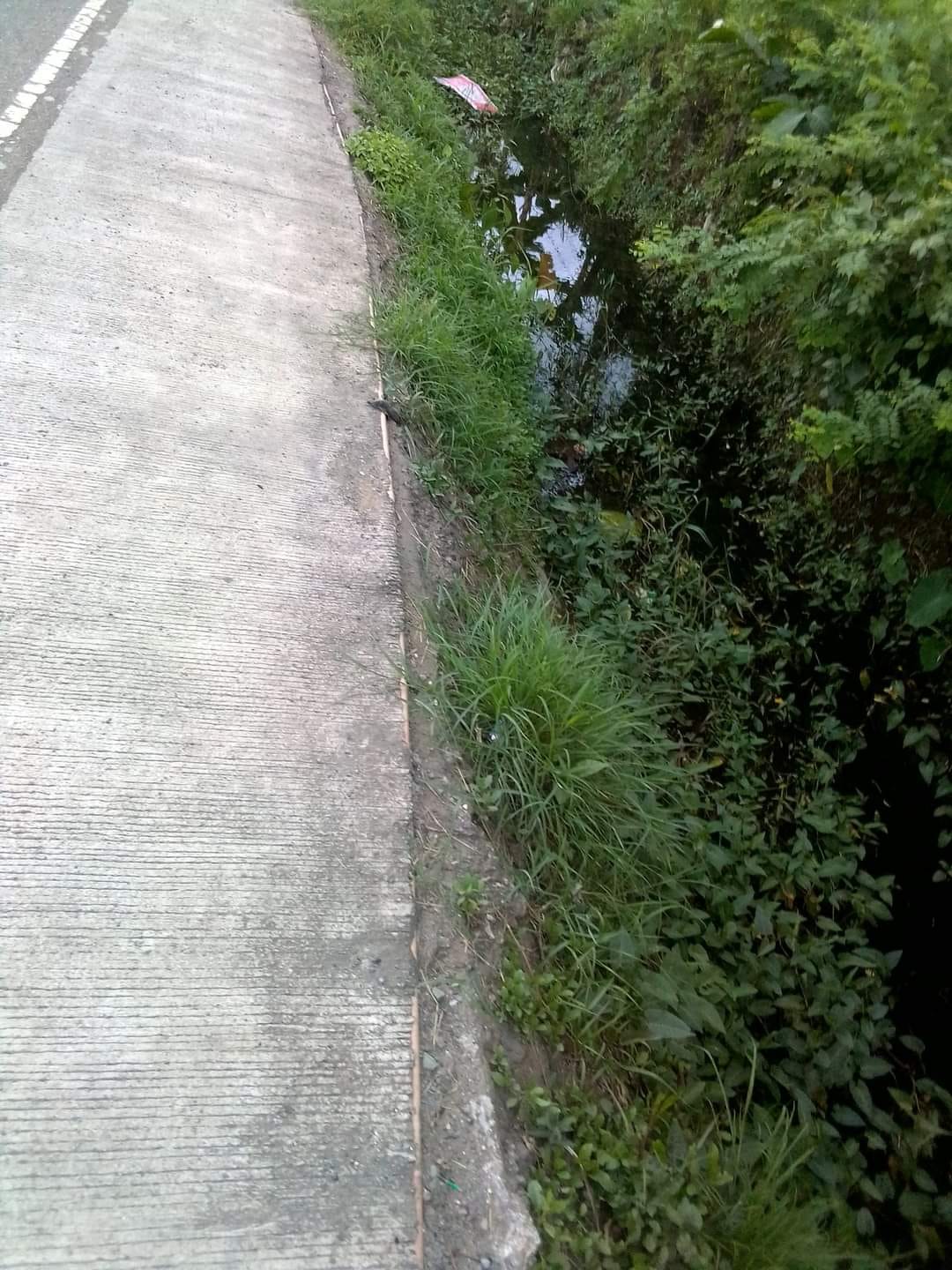 COMMERCIAL LOT FOR SALE Along national highway