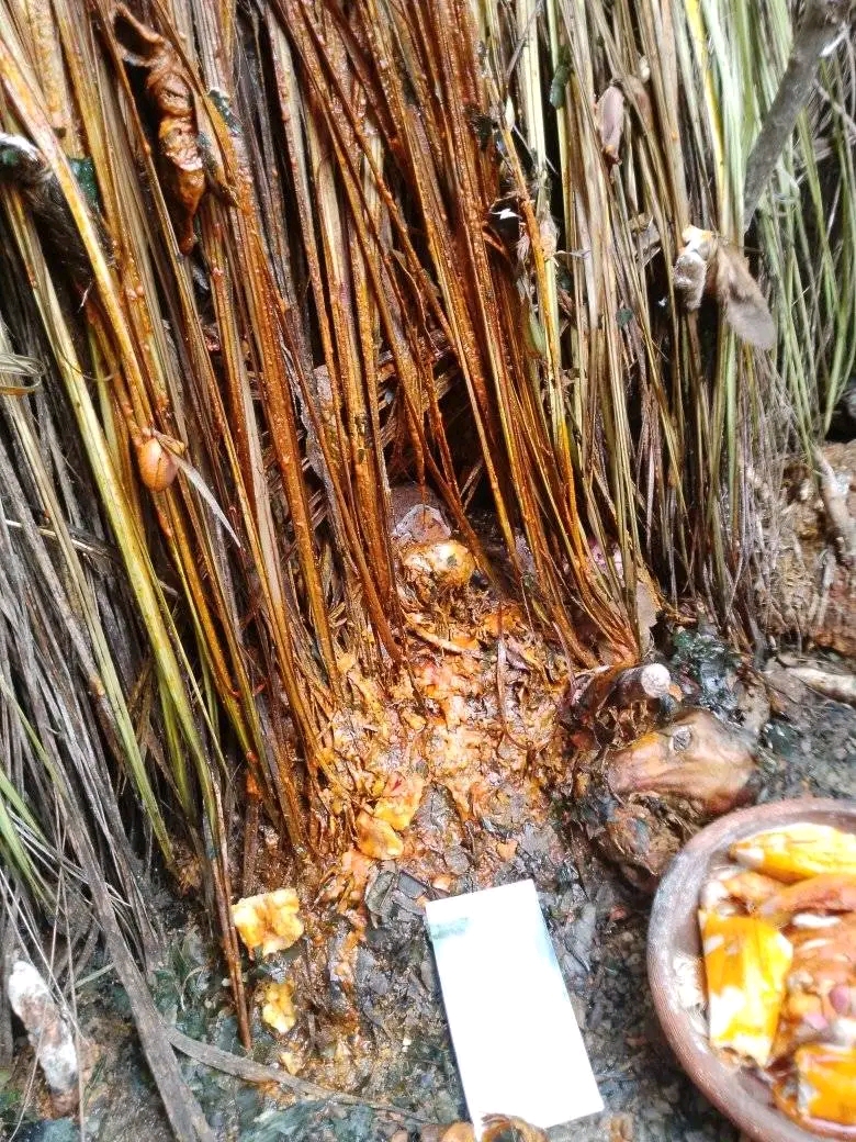 The best powerful spiritual herbalist in nigeria +2348117409635