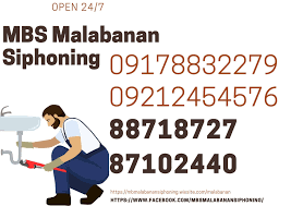 MALABANAN TANGGAL BARADO POZO NEGRO SERVICES