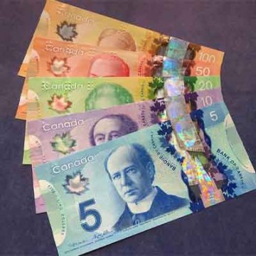 Buy  Canadian  WhatsApp+27833928661 For Sale  In Tanzania,UK,USA,UAE,Kenya,Kuwait,Oman,Dubai,Zambia,Sri Lanka.