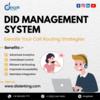 DIALER KING: DID MANAGEMENT SYSTEM