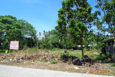 Commercial/Residential Lot for Sale within Poblacion, Lupon, Davao Oriental