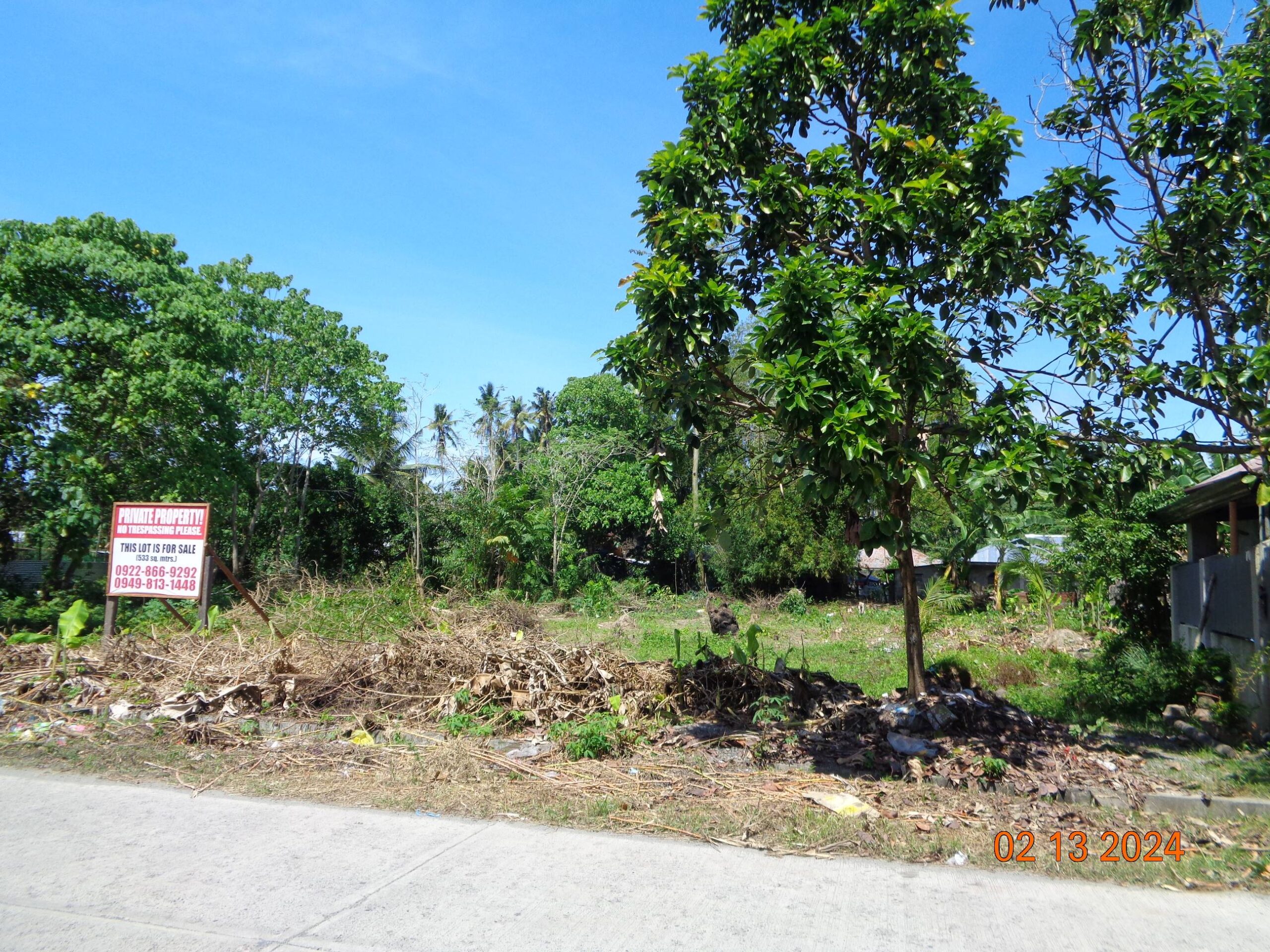 Commercial/Residential Lot for Sale within Poblacion, Lupon, Davao Oriental