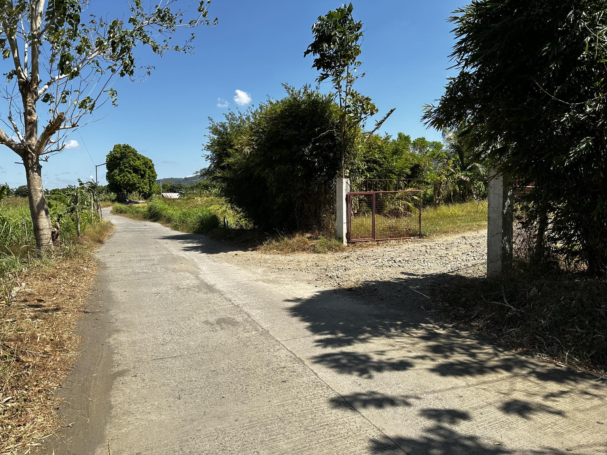 RESIDENTIAL FARM LOT – Lian Batangas –  INSTALLMENT  CLEAN TITLE