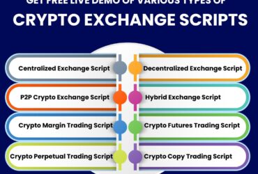 Get a Free Live Demo of Ready-made  Exchange Script