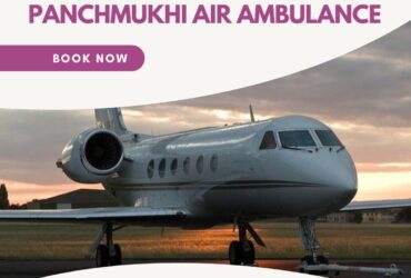 With a Fully Medical Setup Get Panchmukhi Air and Train Ambulance in Patna