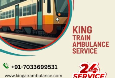 Select King Train Ambulance Service in Patna with the world-class ICU setup