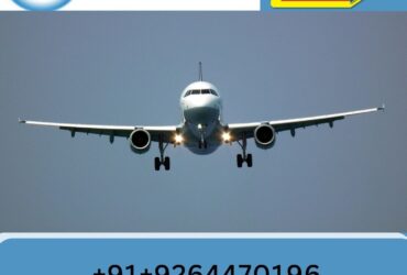 With Reliable Medical Support Use Sky Air Ambulance from Patna
