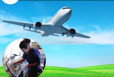 With Magnificent Medical Amenities Use Vedanta Air Ambulance in Patna