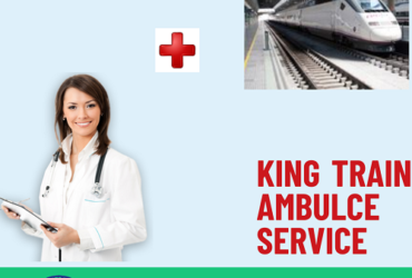 Use The  King Train Ambulance In Delhi Offers Full Health Protection